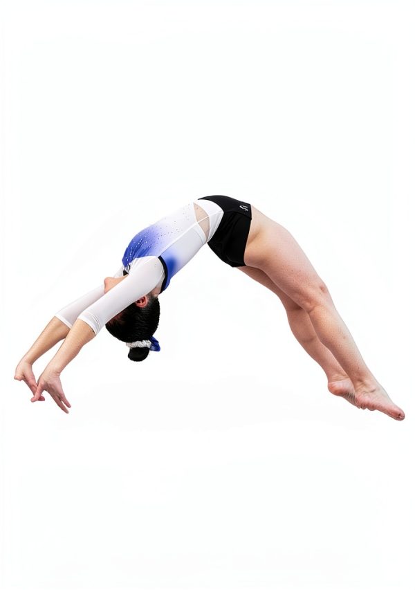 Gymnastics Beginner Guide by Gymnastics Pro eBook Step by Step-0